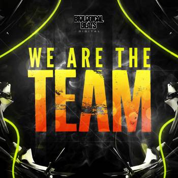 VA - We Are the Team