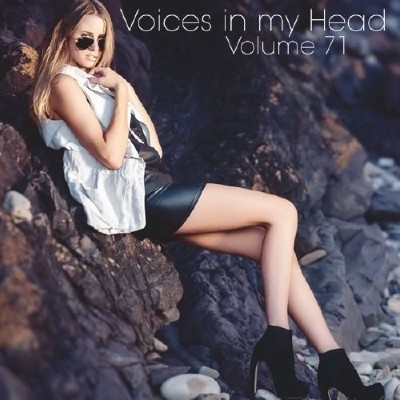 Voices in my Head Volume 71 (2014)