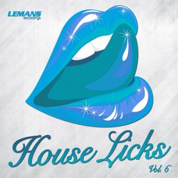 House Licks Vol.6