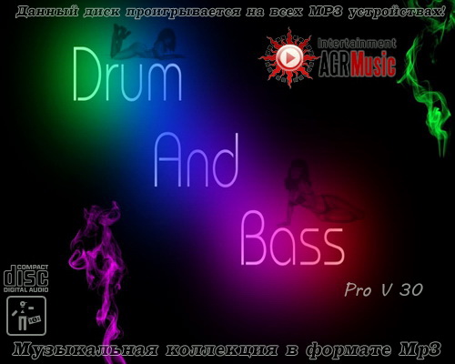 Drum and Bass Pro v.30 (2014)