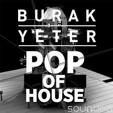 Burak Yeter - Pop Of House (Original Mix)