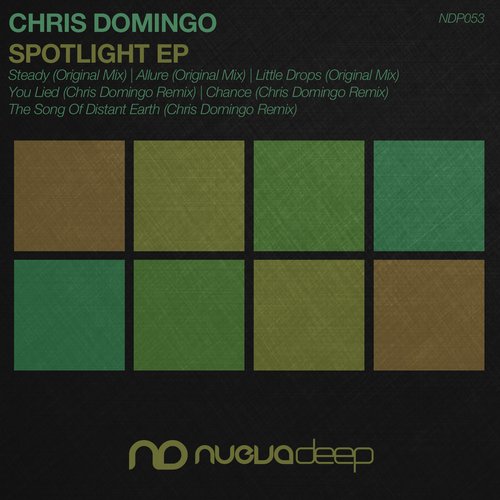 Chris Domingo - Steady (Original Mix)