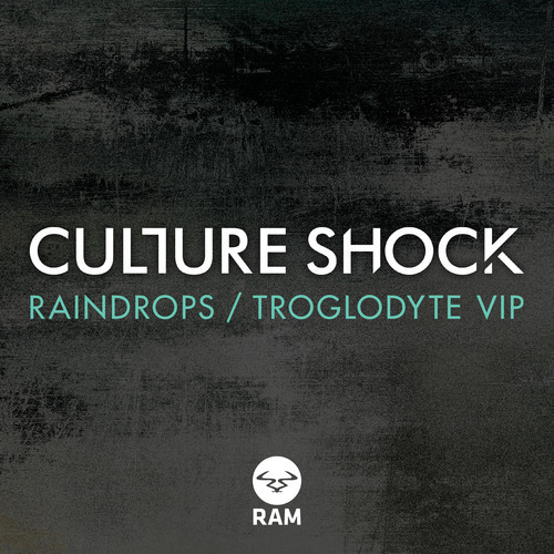 Culture Shock - Raindrops (Original Mix)