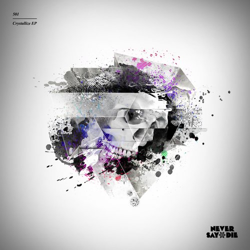 501 Protohype feat. Ras - Won't Change (Original Mix)