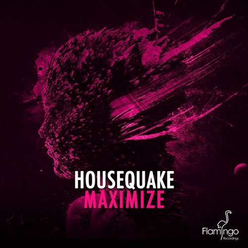 Housequake - Maximize (Original Mix)