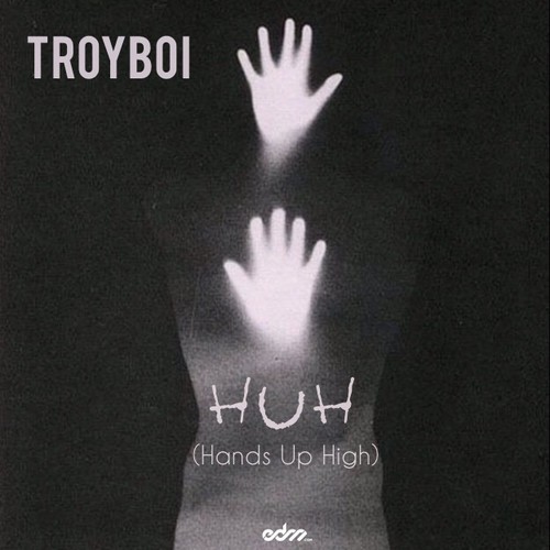 TroyBoi - HUH (Hands Up High)