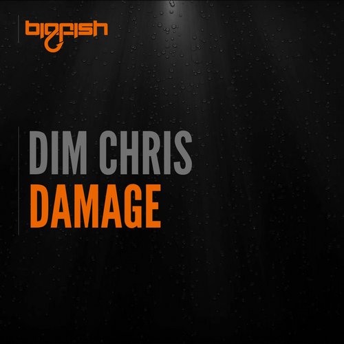 Dim Chris - Damage (Original Mix)