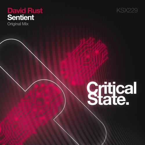David Rust - Sentient (Original Mix) David Rust - Sentient (Original Mix)