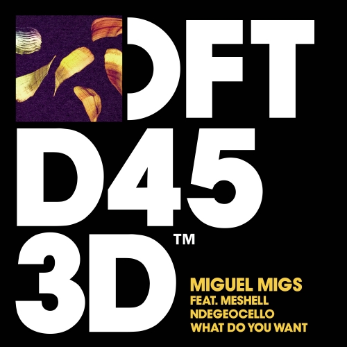 Miguel Migs - What Do You Want feat. Meshell Ndegeocello (Rodriguez Jr Remix)