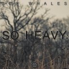 Sex Whales - Story Of Annie ( Original Mix ) Sex Whales - Story Of Annie ( Original Mix )