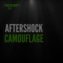 Aftershock - Camouflage (Original Mix)