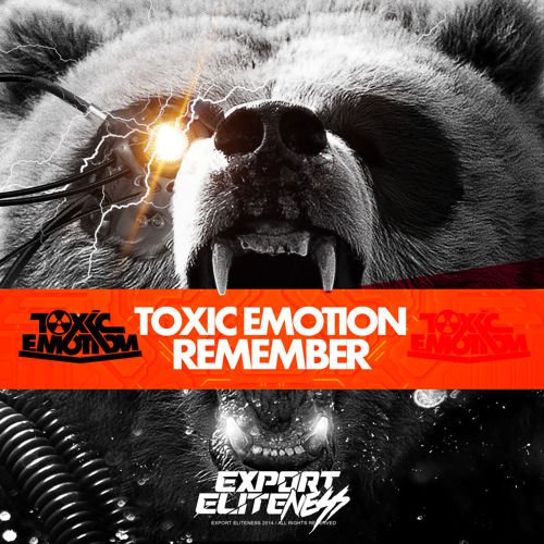 Toxic Emotion - Remember (Original mix)