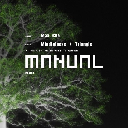 Max Cue - Mindfulness (Teho Remix)