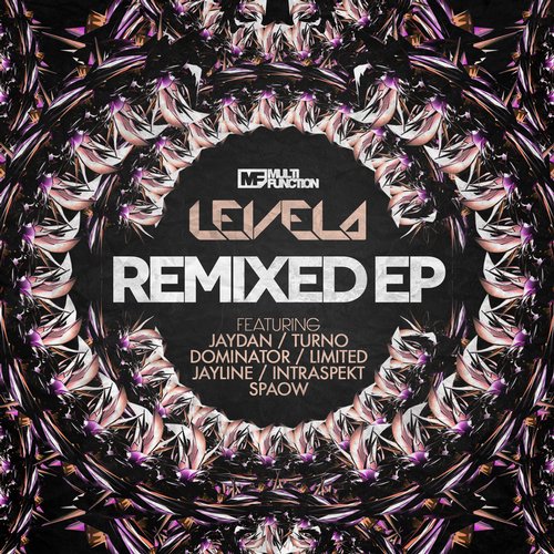 MC Funsta, Levela - Warn You (Turno Remix)