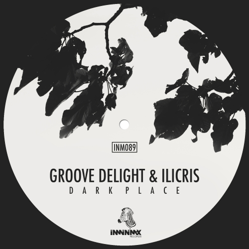 Groove Delight, Ilicris - Dark Place (Original Mix)