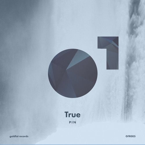 Pin & Mr Porter - True (Original Mix)